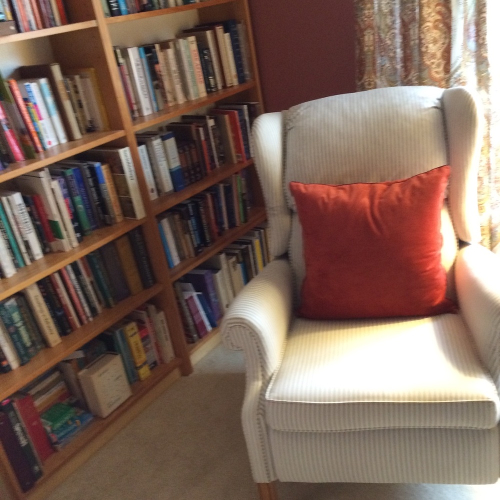 Pair of  dark orange  throw pillows
